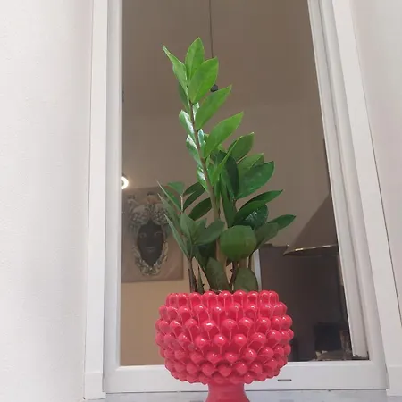 Quiet House Appartamento *